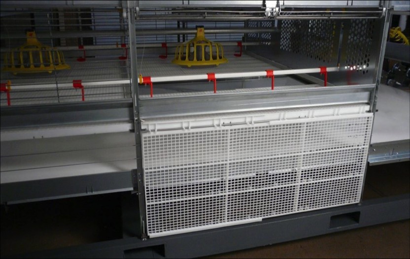 Broiler Colony System