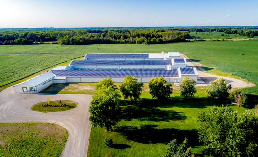 Egg laying farm entirely solar powered