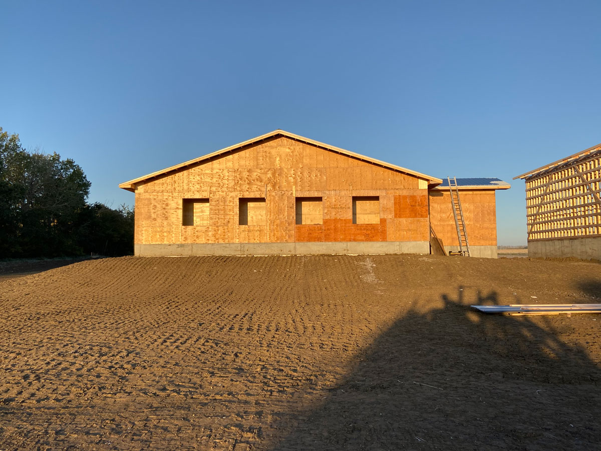 Construction of the organic pullet barn