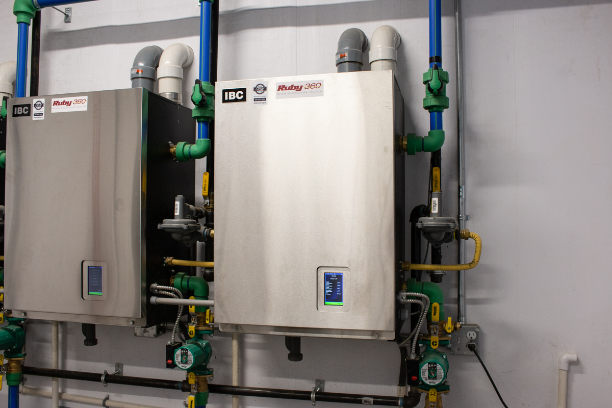 Heating system featuring IBC boilers